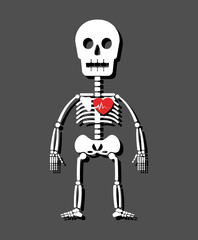 Human skeleton and heart . Cartoon style .