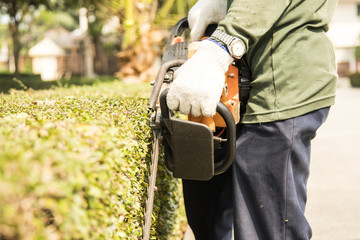 the gardener is trimming branches