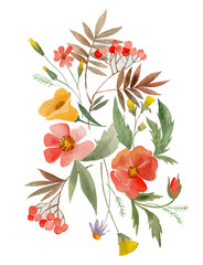 ботаническая иллюстрация, акварельные цветы, растения и травы, желтые лилии и красные маки