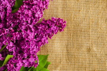 Purple lilac flowers on the burlap cloth.