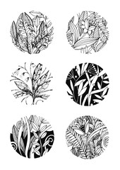 круглая иллюстрация, цветы и растения нарисованные в графике