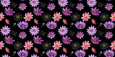 Wildflower kosmeya flower pattern in a watercolor style isolated.