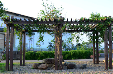 Flower trellis in the garden