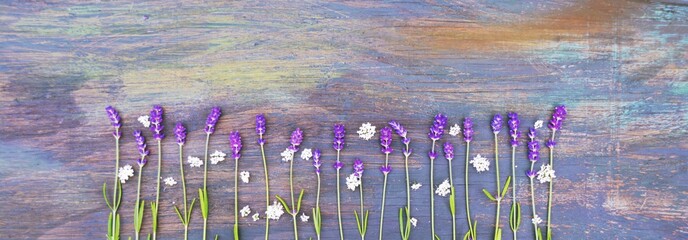 Lavendel auf Holzuntergrund - Panorama - obrazy, fototapety, plakaty