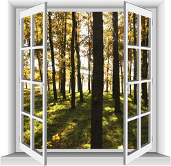 Window overlooking the forest.