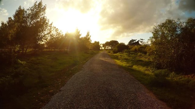 Asphalt Road Among Young Spring Green Outskirts of Famagusta Salamis