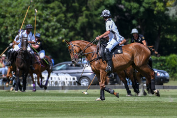 Polo cup