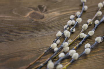 Palm Sunday. Willow on wooden background. Bright holiday. Tradition and religion of the peoples.
