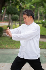 old man practicing kungfu or tai chi in the park, healthy lifestyle meditation exercise concept