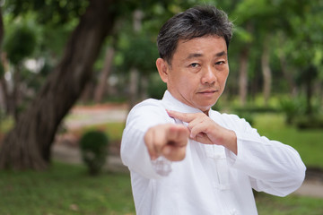 old man practicing kungfu or tai chi in the park, healthy lifestyle meditation exercise concept