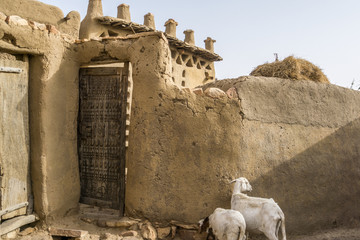 The village of Sanga in the Dogon Country, Mali