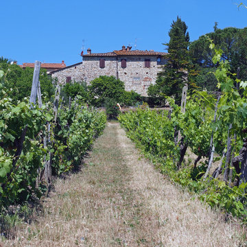 Weingut im Chianti Toskan