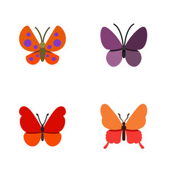 Fototapeta na wymiar Flat Icon Monarch Set Of Danaus Plexippus, Monarch, Violet Wing And Other Vector Objects. Also Includes Moth, Milkweed, Summer Elements.