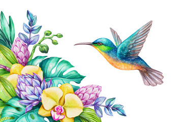 watercolor illustration, exotic nature, flying humming bird, tropical orchid flowers, green jungle...