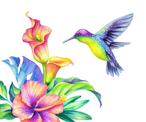 watercolor illustration, exotic nature, flying humming bird, tropical calla lily flowers, green jungle leaves, isolated on white background © wacomka