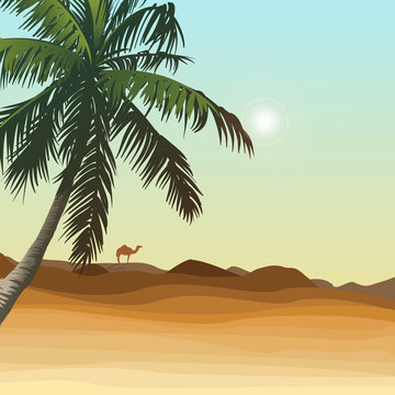 desert and palm with golden sand