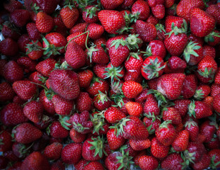 background from freshly harvested strawberries