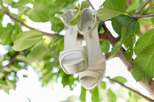 White bride shoes on tree closeup