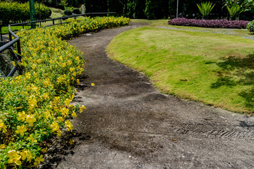 Concrete Pathway in garden