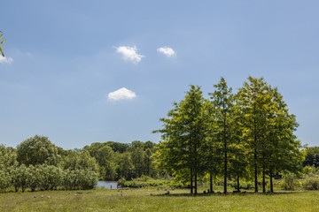 Sommer an der Ostsee