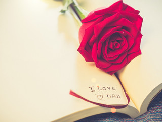The inscription note  " I love you Dad" inside classic  paper book.with bright Red Rose. Father's day, Valentine's concept