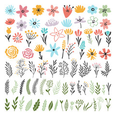 Different florals elements for your design project. Vector illustration of plants