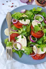 Vegetable salad with tomatoes, mozzarella and sauce on a marble background.