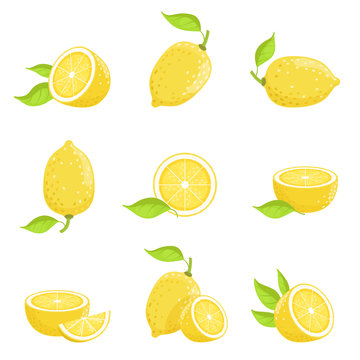 Lemon with slices. Fresh yellow fruit in cartoon style. Vector picture isolate on white
