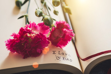 The inscription note  " I love you Dad" inside classic  paper book.with bright pink carnation. Father's day, Valentine's concept