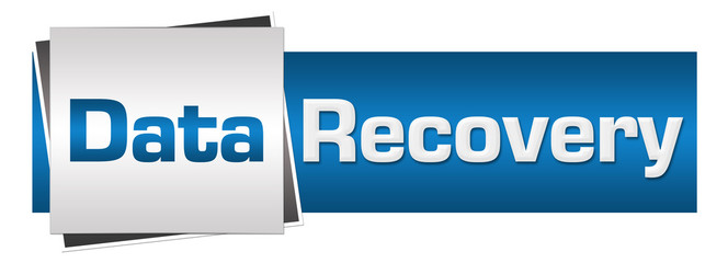 Data Recovery Blue Grey Horizontal 