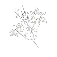 Monochrome hand drawn bouquet for coloring page, print, stock vector illustration