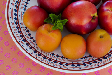 nectarines et abricots