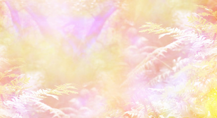 Escape to the Heavenly Woodland - Dreamy golden peach and pink  ethereal woodland background with soft focus trees in the background and ferns in the foreground