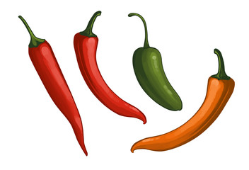 Chili pepper vector illustrations