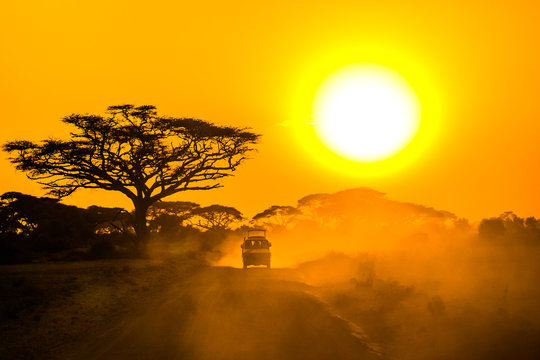 Fototapeta safari jeepem jadącym przez sawannę o zachodzie słońca