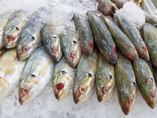 Fototapeta premium Fresh mackerel fish on ice in supermarket