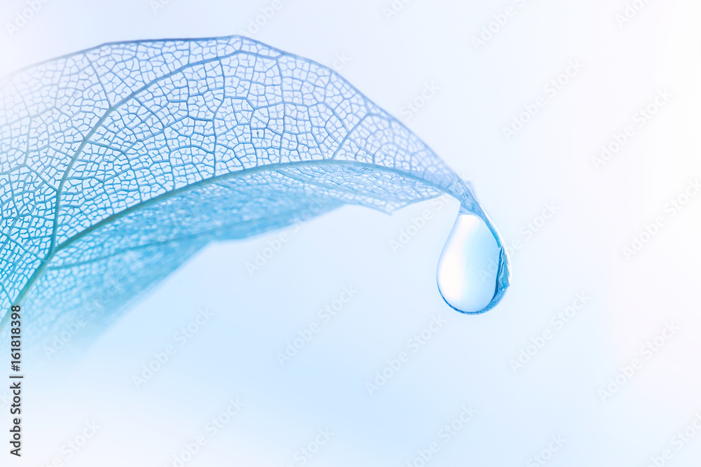 Aufkleber beautiful drop of pure water on a transparent leaf on a light blue background close-up macro. the co