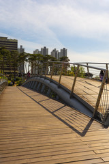 Twin bridge at Songdo Central Park