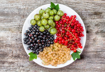 Summer fruits varieties: red currants, white currants and blackc