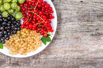 Summer fruits varieties: red currants, white currants and blackc