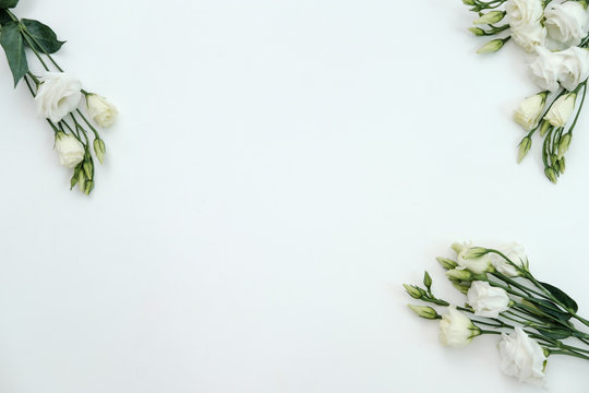 Beautiful eustoma flowers isolated on white background