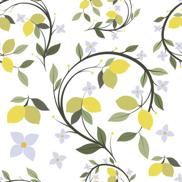 Pattern of lemon branch tree with flowers and leaves. Seamless