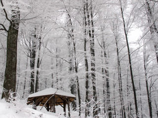 Pavillion in a snowy forest