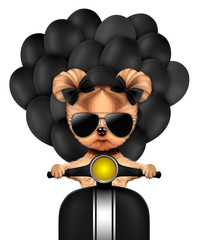 Lovely puppy sitting on motorbike with balloons