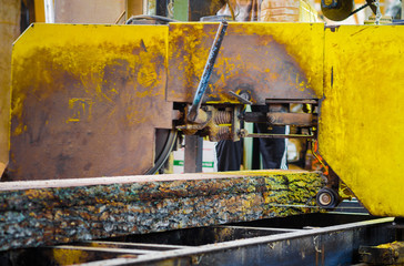 Close-up cutting large wooden board machine in woodworking shop of furniture factory