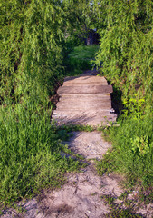 the wooden bridge across the river