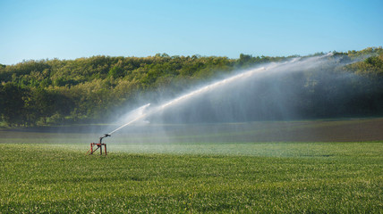 Felder Bewässerung im Sommer bei Hitze