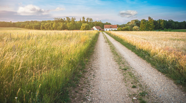 Feldweg umgeben von Getreidefeldern mit Bauernhof im Hintergrund