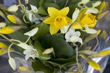 the Wedding bouquet for the bride of yellow daffodils and white orchids