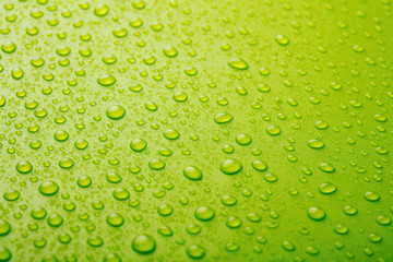 Fototapeta na wymiar Green water drops background